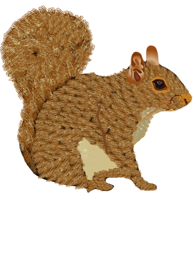 image overlay