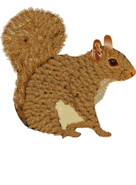 image overlay