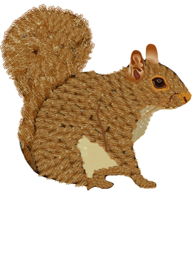 image overlay
