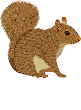 image overlay