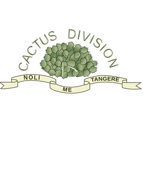 image overlay