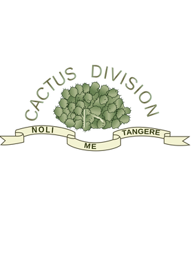 image overlay