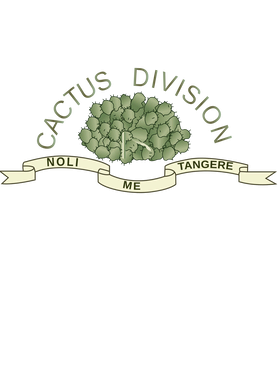 image overlay