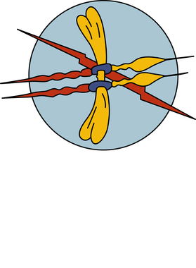 image overlay
