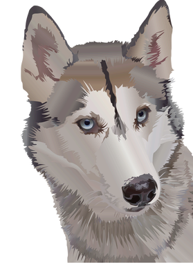 image overlay