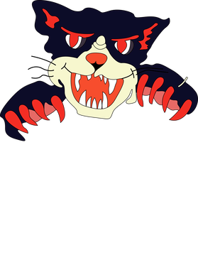 image overlay