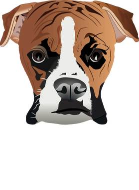 image overlay