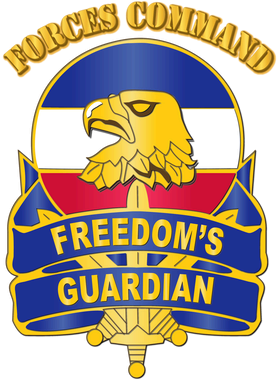 https://d1w8c6s6gmwlek.cloudfront.net/militaryinsigniaproducts.com/overlays/353/185/35318524.png img