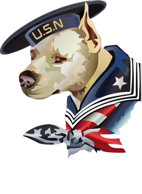 image overlay