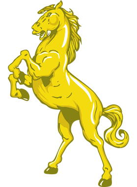 image overlay