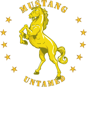 image overlay