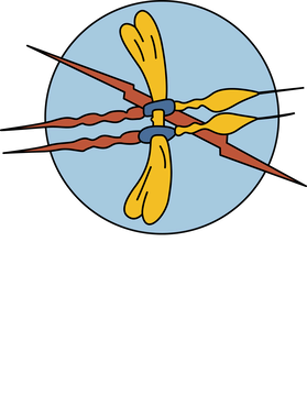 image overlay