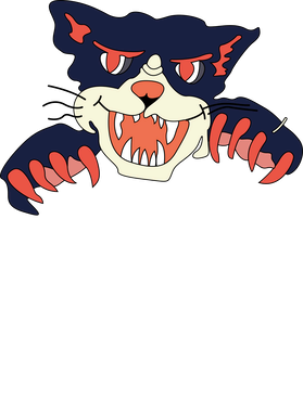 image overlay