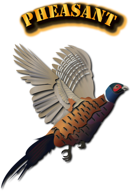 image overlay