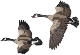 image overlay
