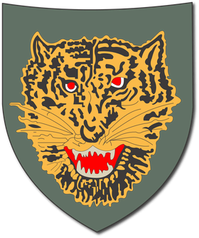 image overlay