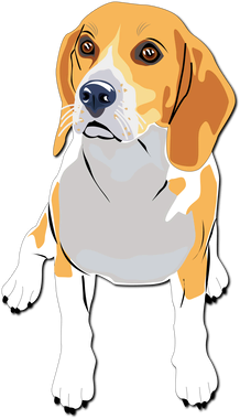 image overlay