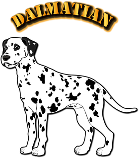 image overlay