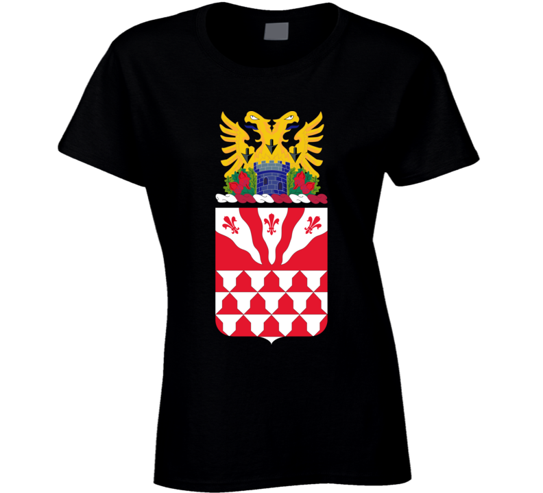 Army - Coa - 307th Engineer Bn - I Maintain Wo Txt T Shirt