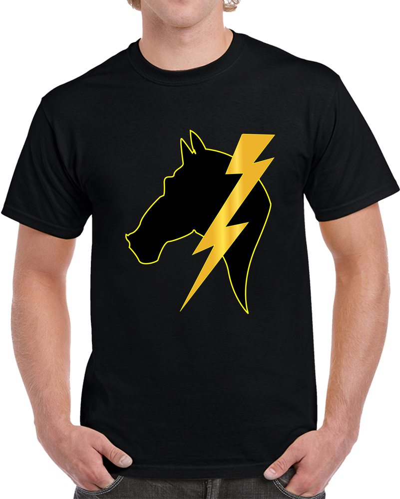 Army - 2nd Battalion 12 Cavalry Regiment Wo Txt T Shirt