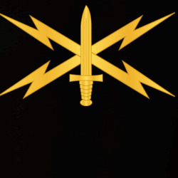29301536