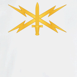 29301540