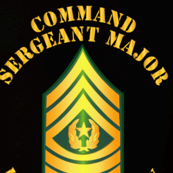 30779309