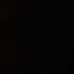 30844821