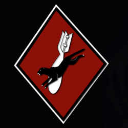 30862076