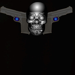 31135562