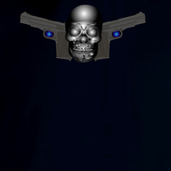31135572