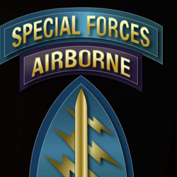 31135788