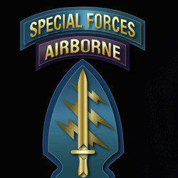 31135837