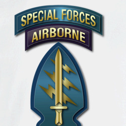 31135868