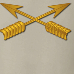 31271531