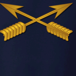 31271553