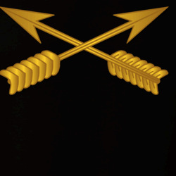 31271568