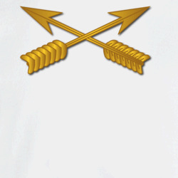 31271721