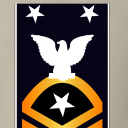31337043