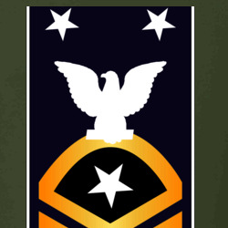 31337045