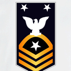 31337068