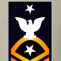 31337579
