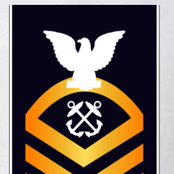 31337749