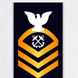 31337850