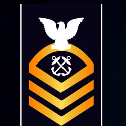 31337853