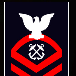 31337914