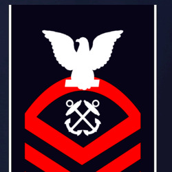 31337917