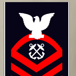 31337920
