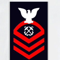 31337923