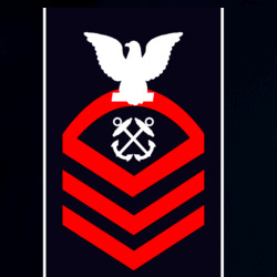31337924
